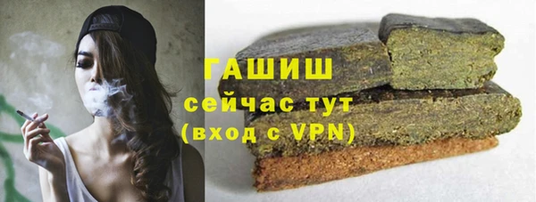 гашик Алексин