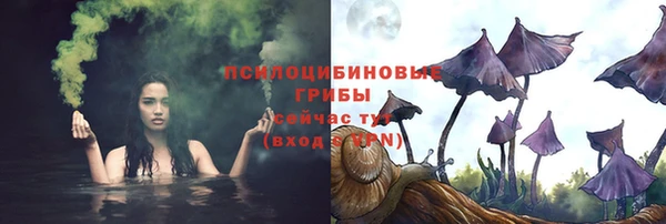 дживик Абинск