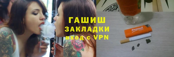 гашик Алексин
