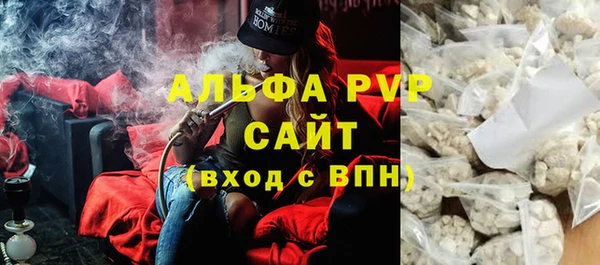 гашик Алексин