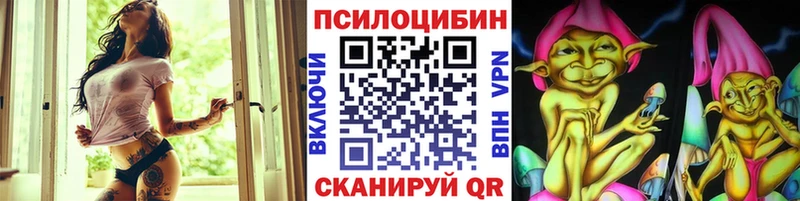 Псилоцибиновые грибы GOLDEN TEACHER  hydra зеркало  Камень-на-Оби 