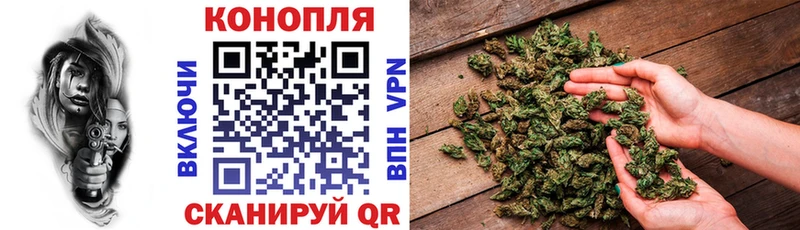 где купить наркотик  Камень-на-Оби  Канабис индика 